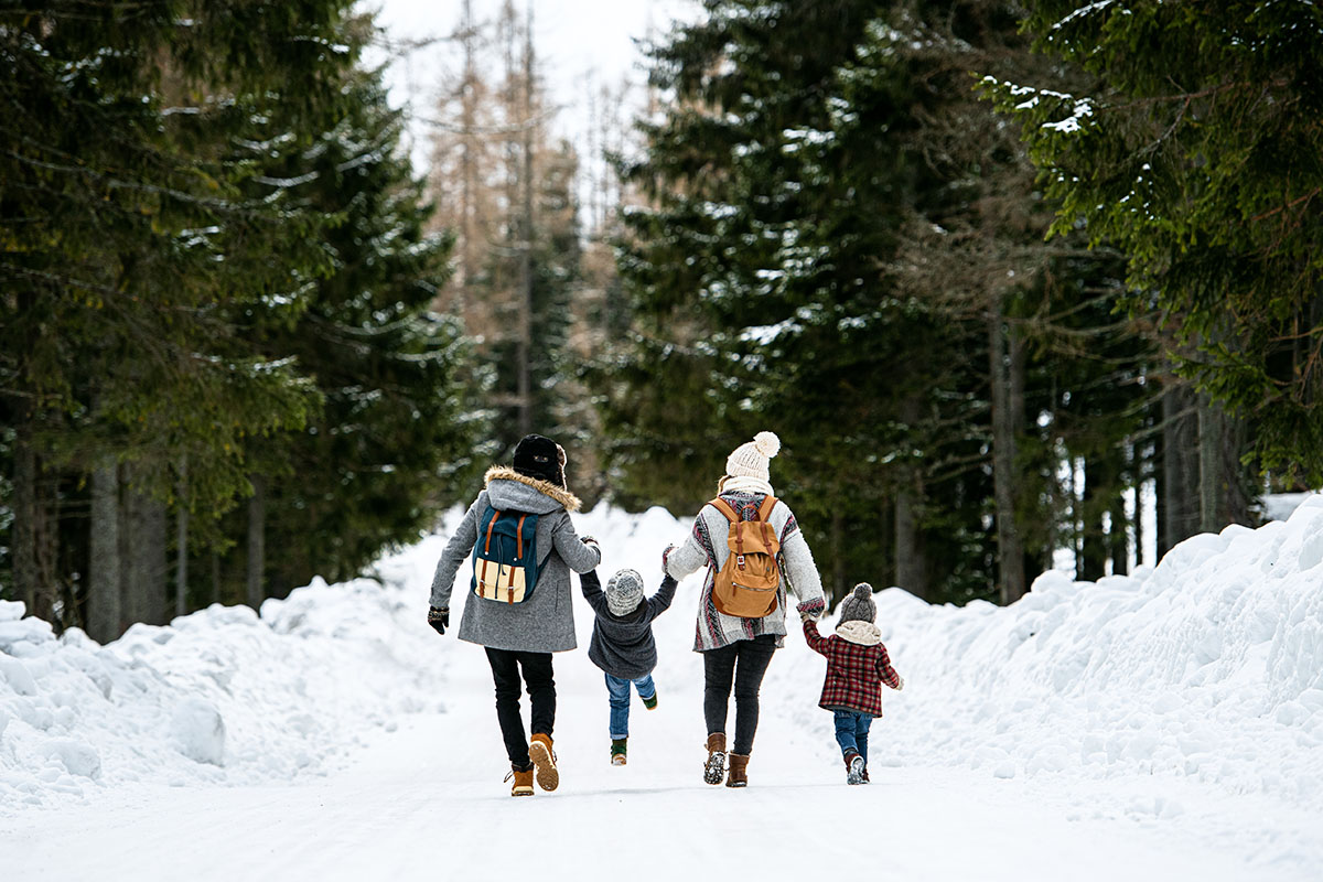 Insurance Solutions - Rear View of a Family with Two Kids Walking in the Snow in the Woods Surrounded by Evergreen Trees While Holding Hands